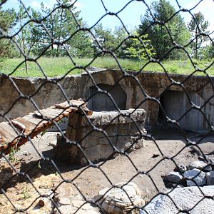 Harmony Hill (new for 2019)