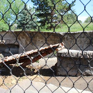 Harmony Hill (new for 2019)