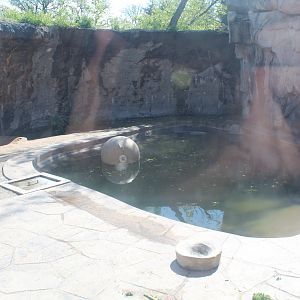 Harmony Hill (new for 2019)