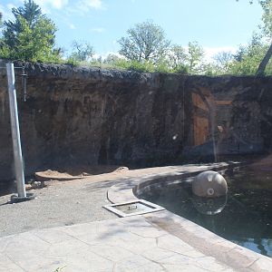 Harmony Hill (new for 2019)