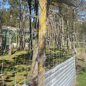 Farm Fun - Wallaby exhibit