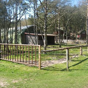Farm Fun - Llama/camel exhibit