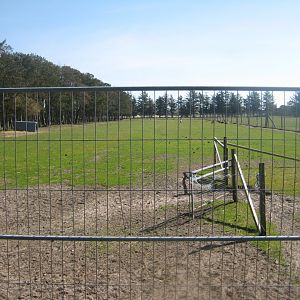 Farm Fun - Deer/mouflon exhibit