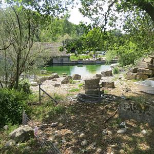 Humboldt penguin enclosure 110519