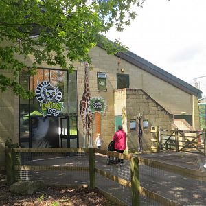 Giraffe Lookout and Lemur Loop 110519