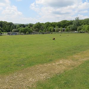 Grassland enclosure 110519