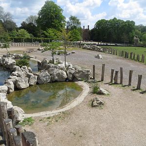 Wild Explorers 110519