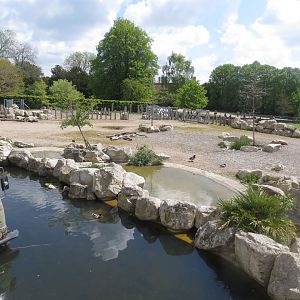 Wild Explorers 110519