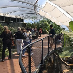 Tropical House upper walkway 110519