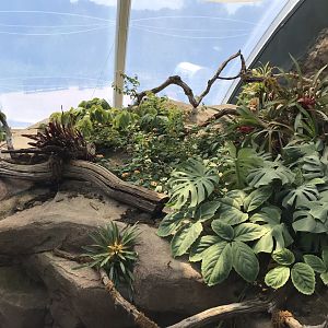 Tropical House 110519