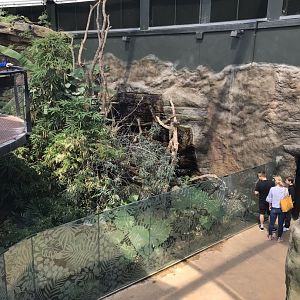 Tropical House - upper walkway towards sloth exhibit 110519