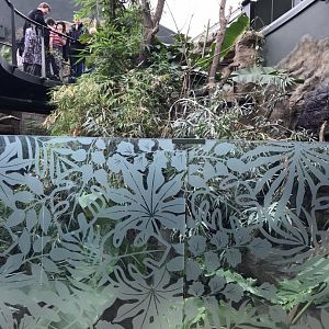 Tropical House - lower walkway towards sloth exhibit 110519