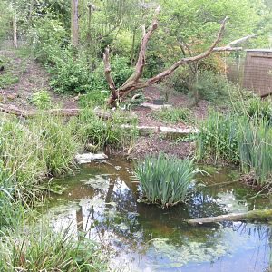 Walkthrough aviary 110519