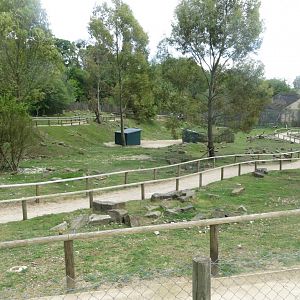 Wallaby walkthrough 110519