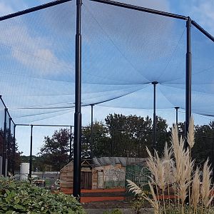 Construction new Lemur walk-through enclosure