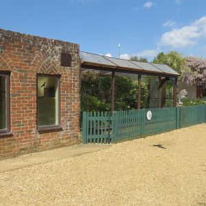 Blue-crowned laughingthrush aviary 110519