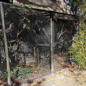 Prevost squirrel enclosure