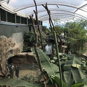 Tropical House 110519