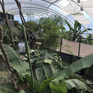 Tropical House 110519