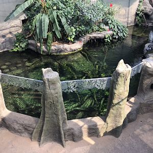 Tropical House aquarium exhibit 110519