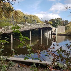 Bridge along Tiger-enclosures