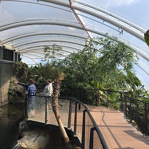 Tropical House upper walkway 110519