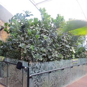 Tropical House 110519