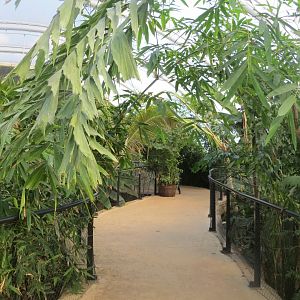 Tropical House upper walkway 110519