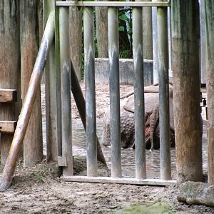 Indian Rhinoceros Exhibit Gate