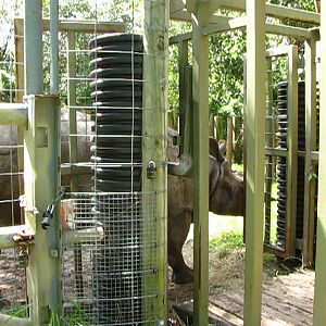 Meeting Arjun (Naboo)