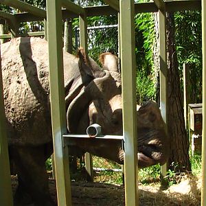 Meeting Arjun (Naboo)