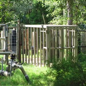 Indian Rhinoceros Crate