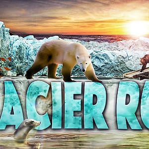 Zoo Tours Ep. 59: The Award Winning Glacier Run - YouTube