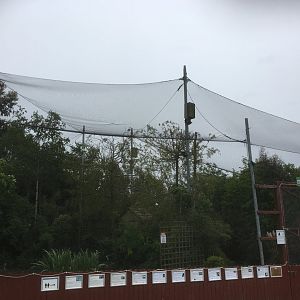 Birds of the world aviary