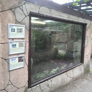 Aviary