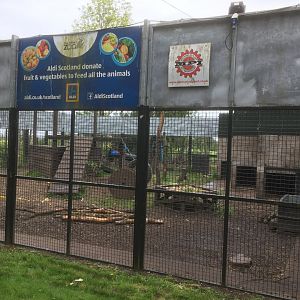 Brown bear holding area