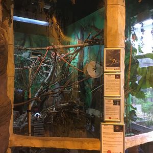 S American mixed exhibit