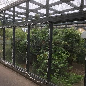 Fishing cat enclosure