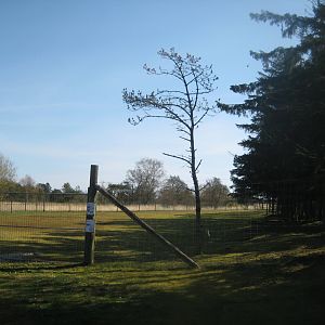 Farm Fun - Deer/mouflon exhibit