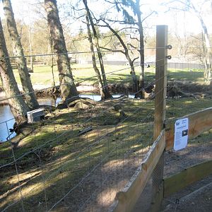 Farm Fun - Waterfowl pond