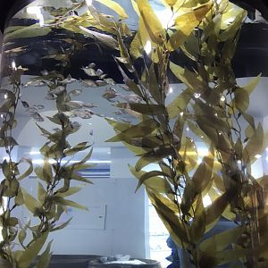 Exhibit in shop 260519