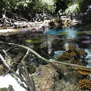 Lagoon of Light from above 260519