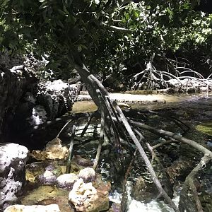 Lagoon of Light above 260519