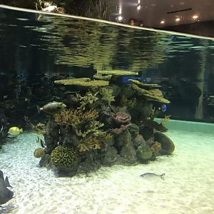 Lagoon of Light from below 260519