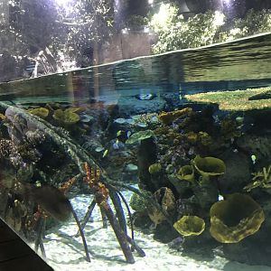 Lagoon of Light from below 260519