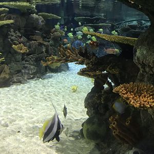 Lagoon of Light - different side 260519