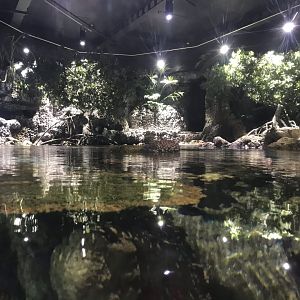 Lagoon of Light - view from other side 260519