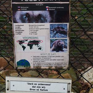 Sign wolverine, 2019-04-06