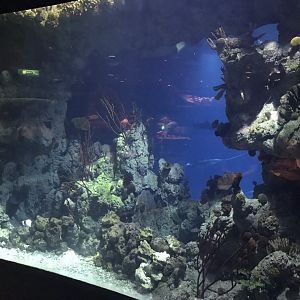 Endless Ocean - differing upper level view 260519