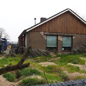 Alpine marmot exhibit, 2019-04-06